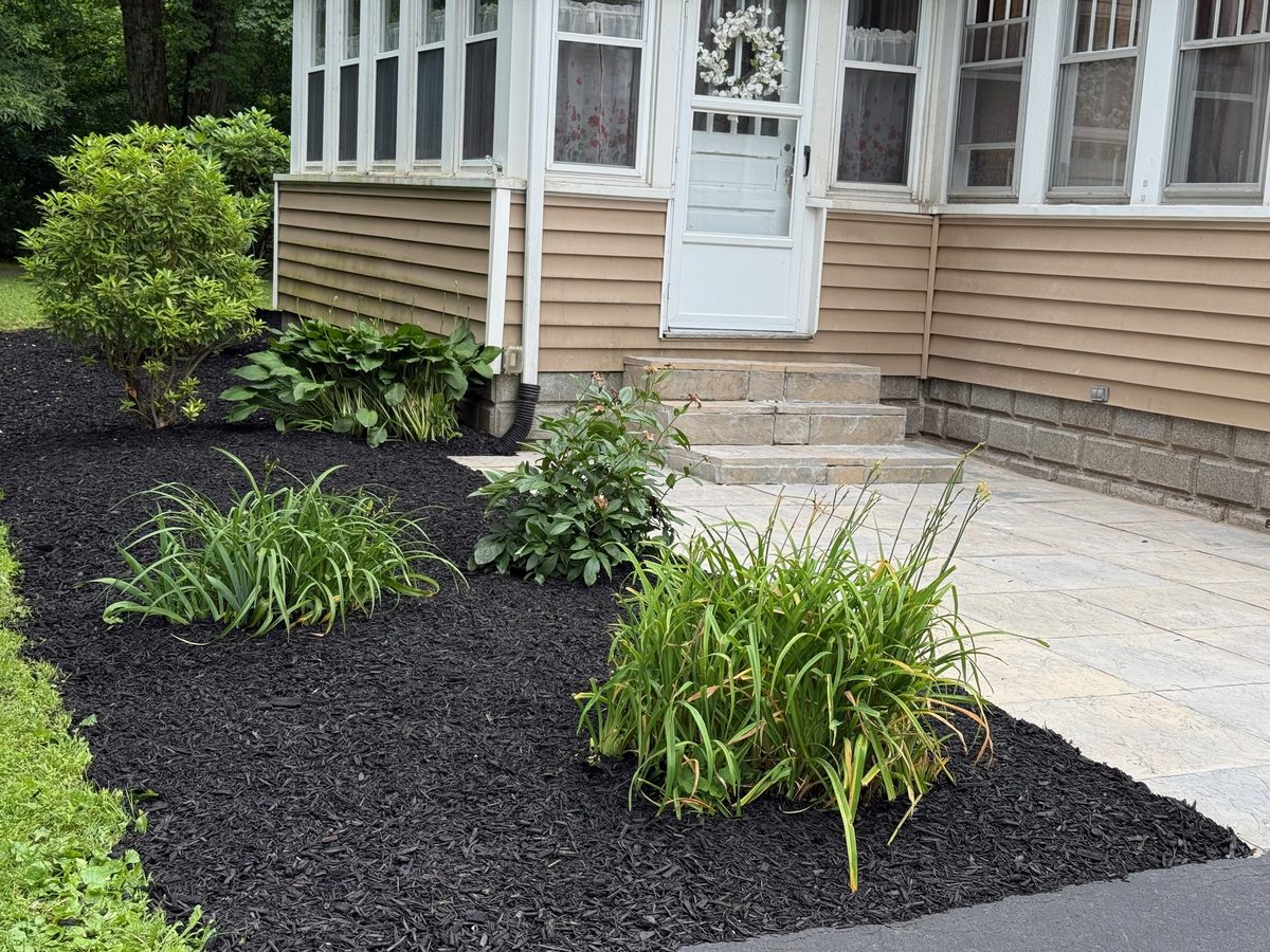 Garden Maintenance